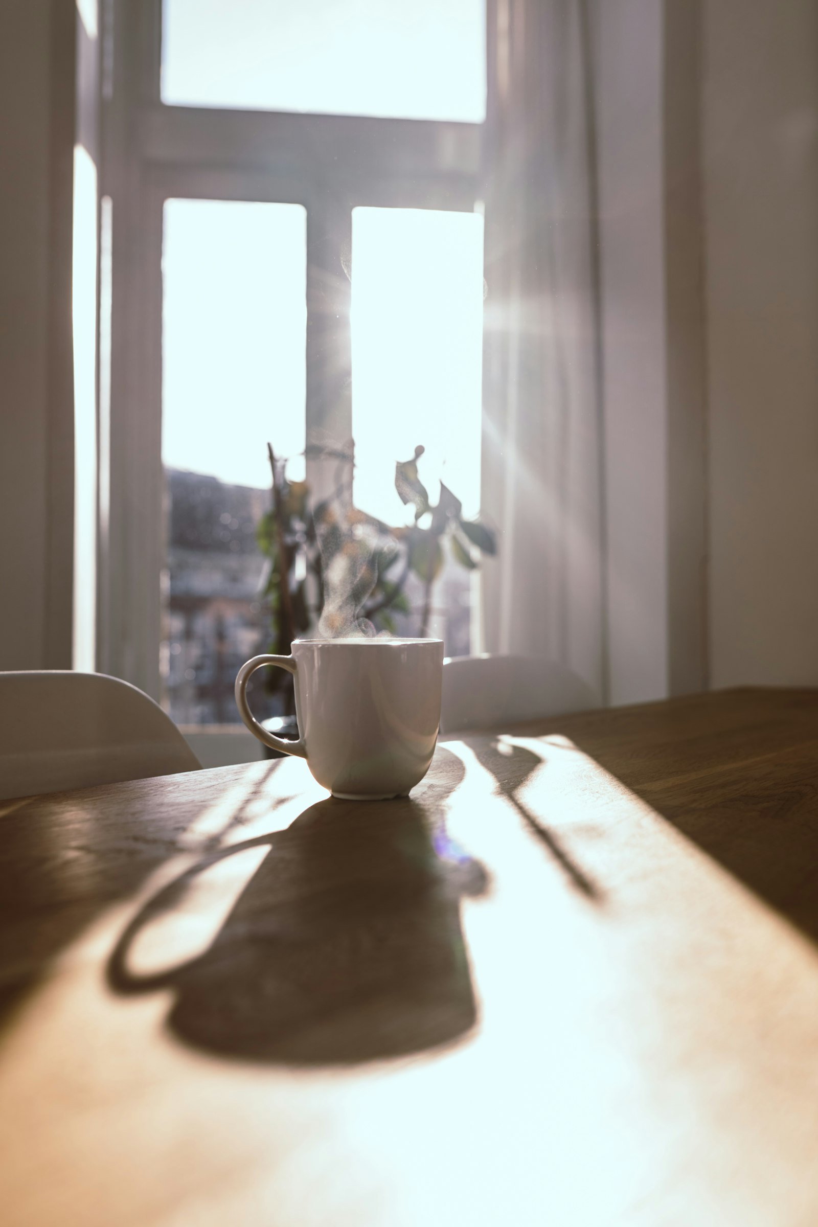 Steaming mug on a wooden table in front of a sunlit window for a morning ritual